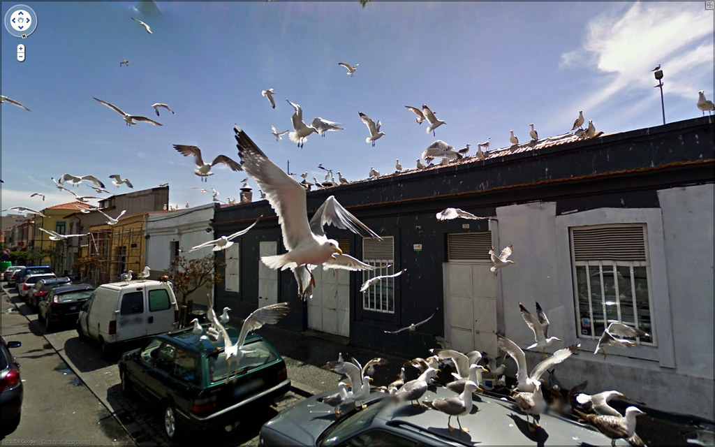 street view finds part 2 2