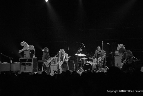 Grace Potter and the Nocturnals Chicago Bluegrass and Blues Festival