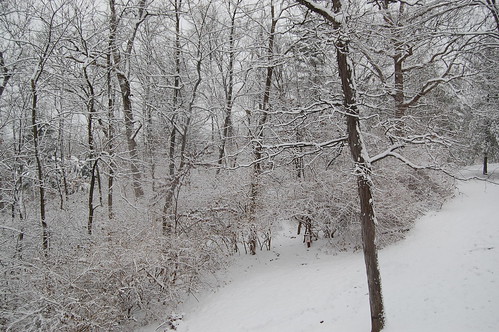 a beautiful white Christmas outside our living room window