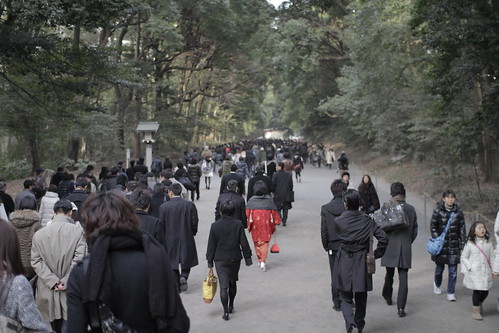 People heading to Meiji Shrine