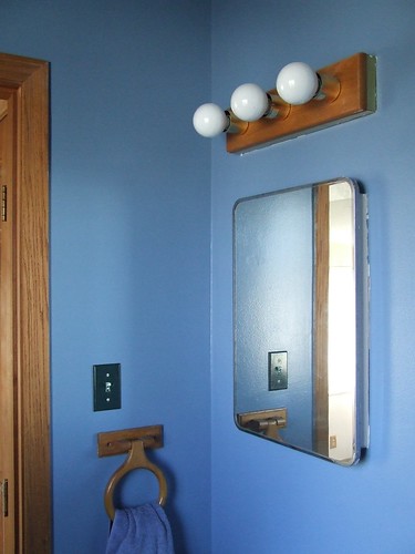 Cat Bathroom Painted Blue