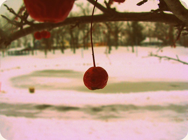 Berry Snow