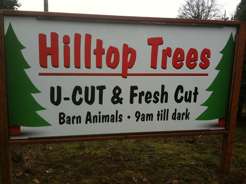 Hilltop Trees
