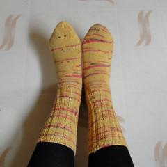 Mom's socks 2010 2
