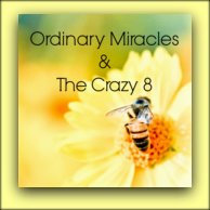 Ordinary Miracles & The Crazy 8