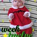 Week 12 (Santa Baby Lucy)