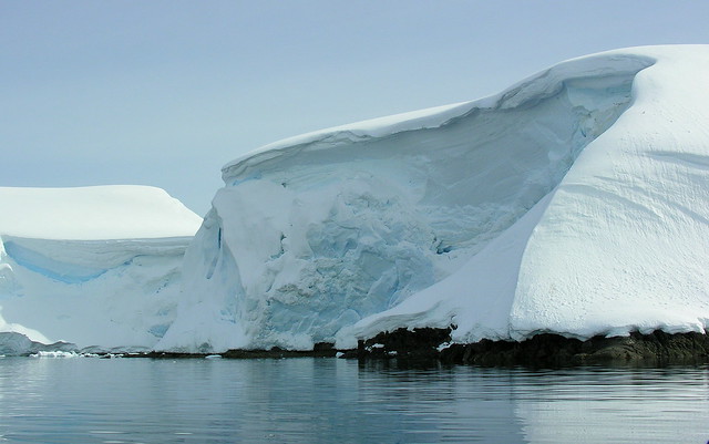 ANTARCTICA2010-143 Foyn Barbour 南極 Foyn灣