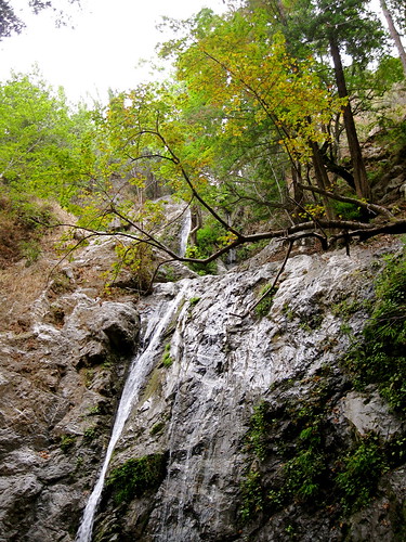 Pfeiffer Falls