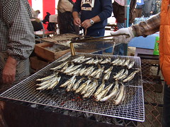 大竹市 牡蠣祭り 画像 12