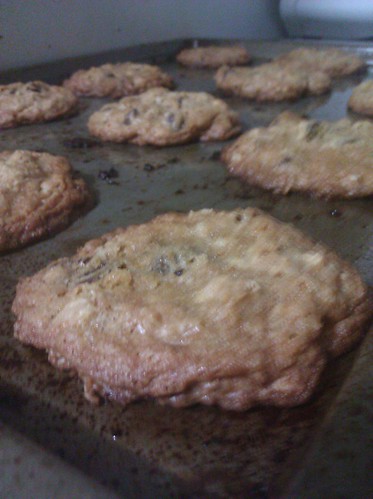 Oatmeal chocolate chip cookies by kel h