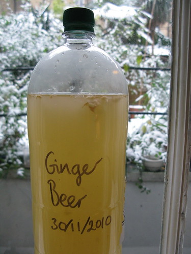 Brewing Ginger Beer