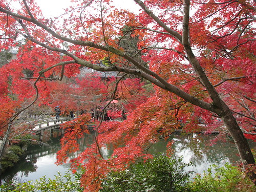 Kyoto Eikan-ji Nanzen-ji 2010.11.28_064