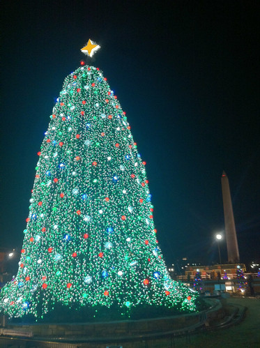 national christmas tree