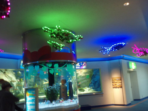 aquarium christmas lights