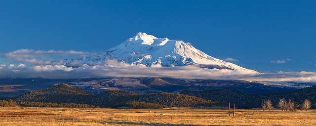 Mount Shasta from the North