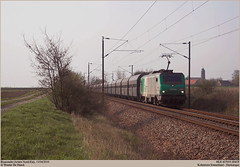 SNCF 427055 @ Bissezeele
