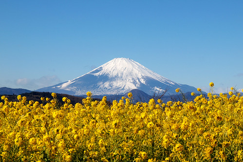 富士山 Mt.Fuji 