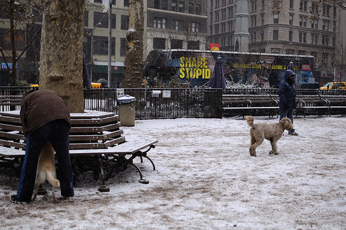 Madison Square Park in Snow