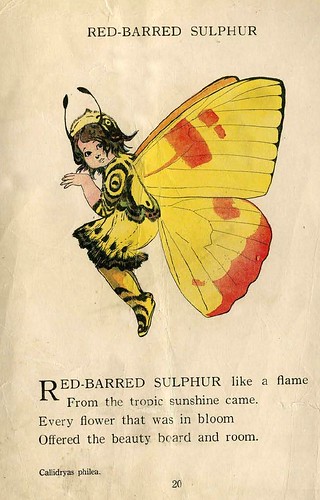 003-The Butterfly Babies' Book 1914- Elizabeth Gordon- Illustrated by M. T. Ross