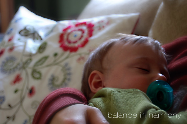 balance in harmony {picture winter day 10}