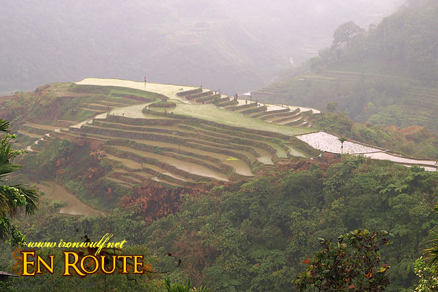Hungduan Rice Terraces Seen from the School