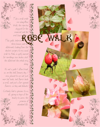 Rose Walk
