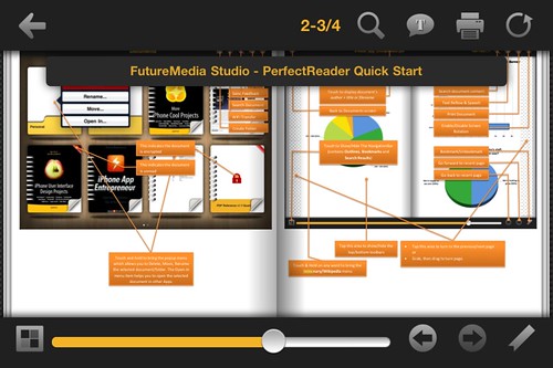 Perfect Reader iPhone/iPad App Screen Shot