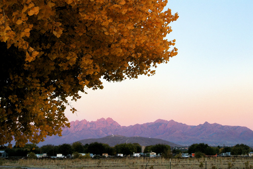 Organ Mountains in the Fall