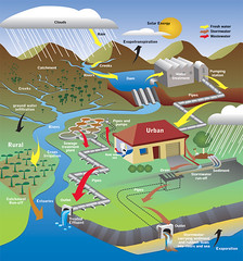 water-cycle-urban-4-www_pacificwater_org