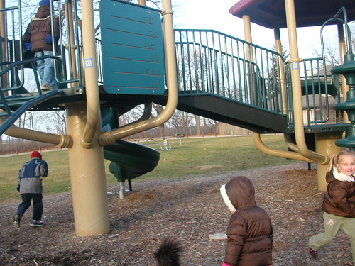 Nov 27 2010 Cedar Falls Park