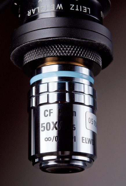 Nikon CF Plan 50X 0.55 inf/- EPI ELWD, initial impressions - www