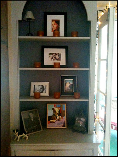 book-shelf-photos