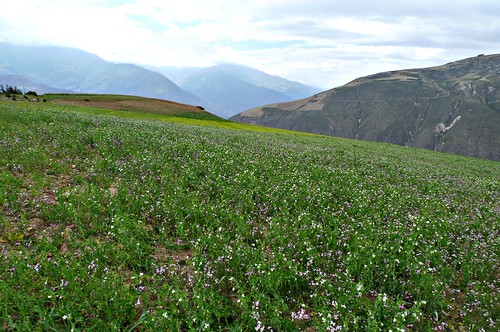 Cordillera Blanca - Caraz, Peru