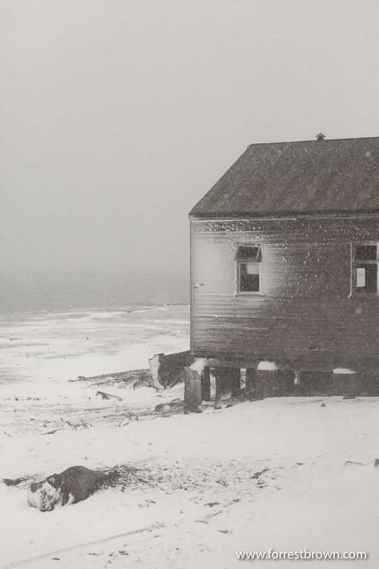 Abandoned Building, Deception Island, Antarctica
