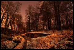 Nabs Woods by night (108)