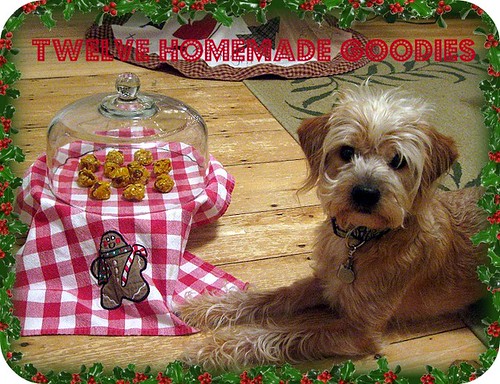 On The Twelth Day Of Petmas..