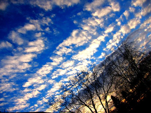 フリー写真素材|自然・風景|空|雲|樹木|アメリカ合衆国|