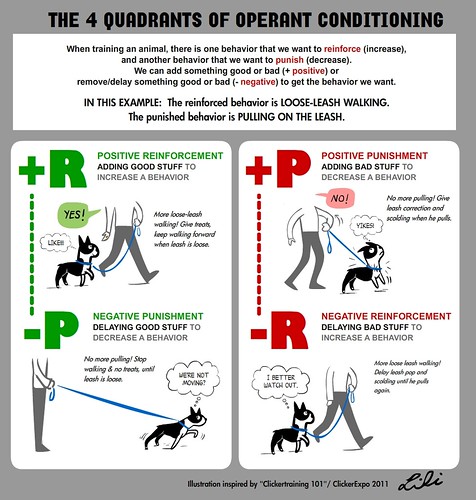 The Four Quadrants of Operant Conditioning