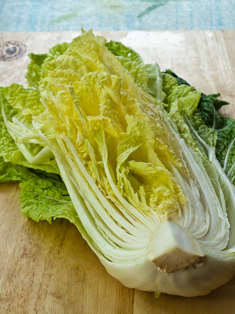 IMG_0513 Chinese cabbage , 黄芽白