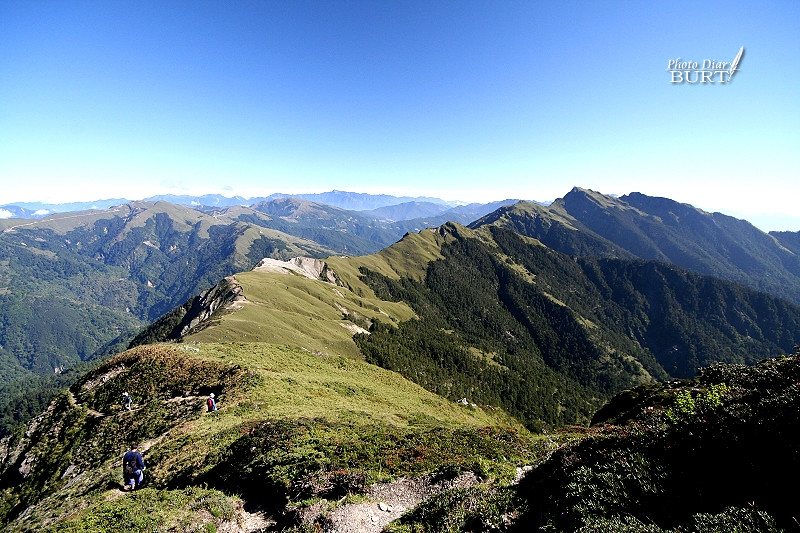 奇萊主峰與北峰間的稜線