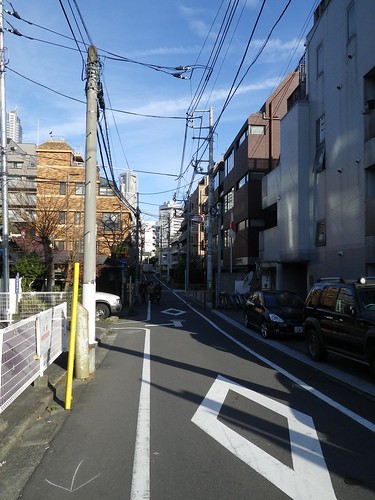 20110102 Japan Road+Yoyogi Run
