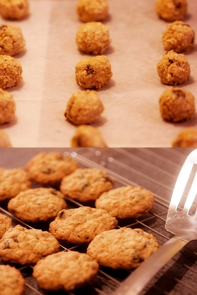 Macro 19/31:  Before & After Oatmeal Cookies