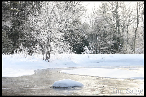 The Scene...Hoar Frost on the Lamprey River