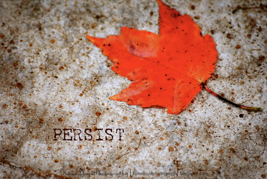 Leaf-Persist-wm