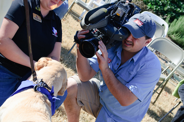 a news videographer with his camera in Poppy's face, poppy is sittin there with a blue bandana on that says I support guide dogs of Texas