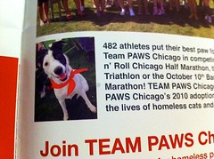 Join TEAM PAWS