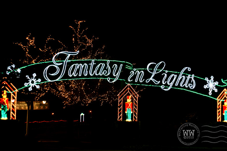 Fantasy in Lights