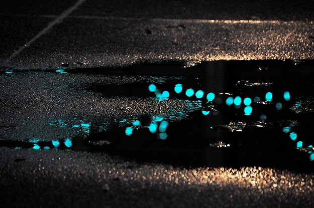 lights in puddle