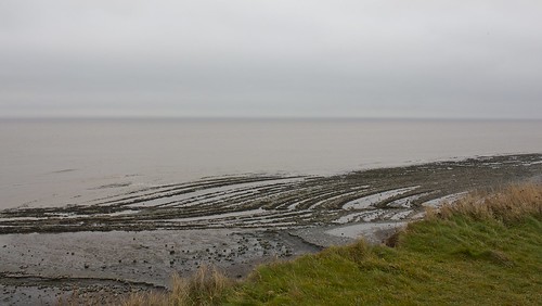 Fossil beach, Kilve
