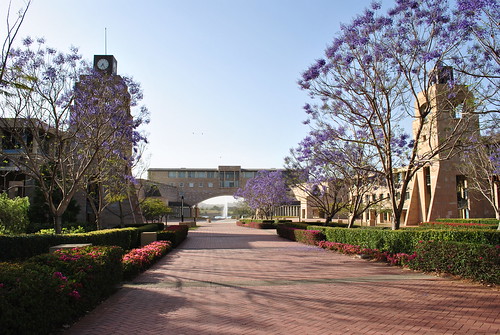 robina gold coast queensland. Bond University, Robina, Gold Coast, Queensland, Australia
